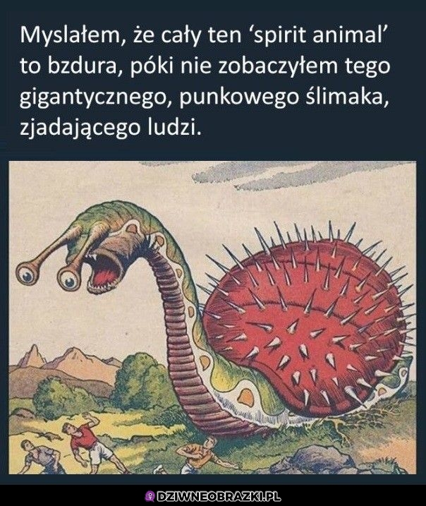 To mój