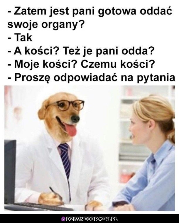 Nie ma zadawania pytań