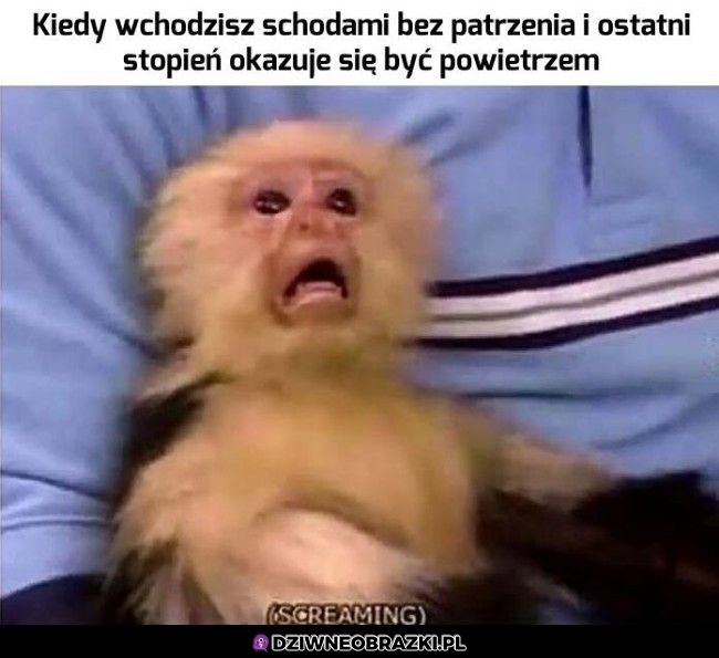 Ten moment