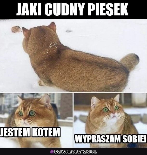A nie jednak nie