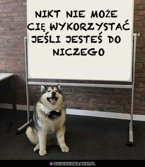 Motywacja