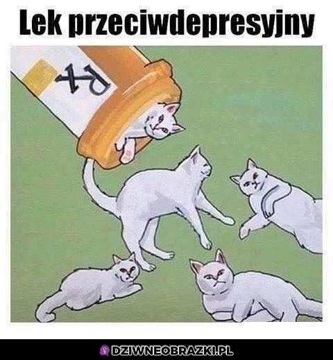 Najlepsze lekarstwo