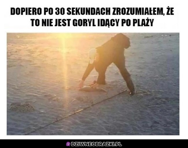 Zonk