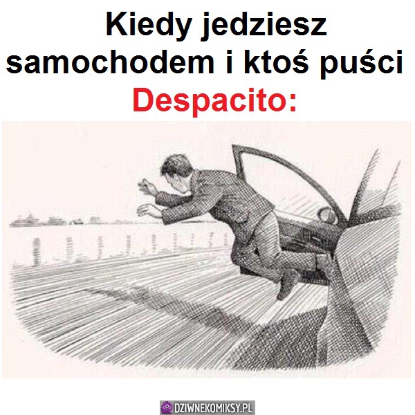 Despacito w aucie