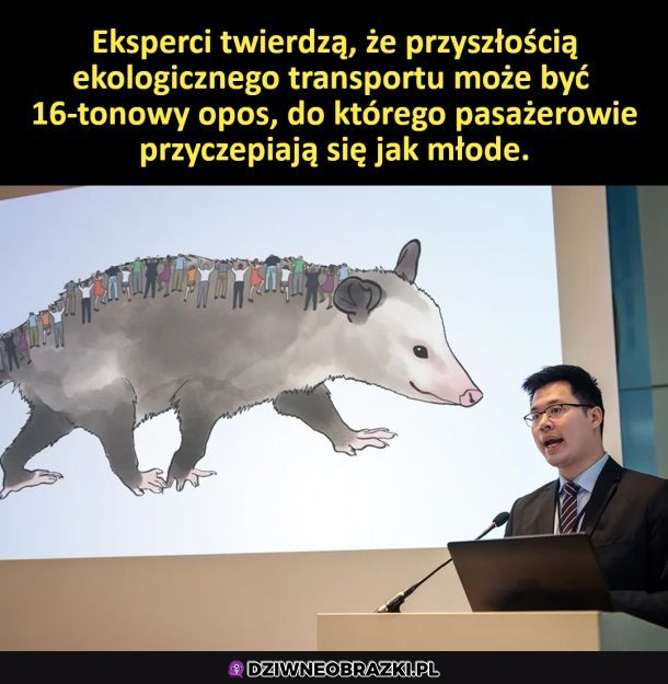 To się nazywa przyszłość