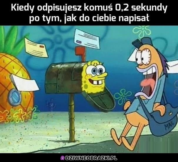 No elo