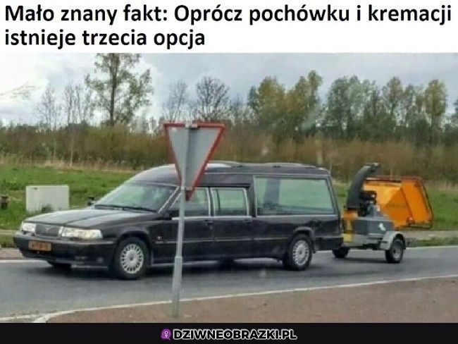 Jestem zainteresowany tą opcją