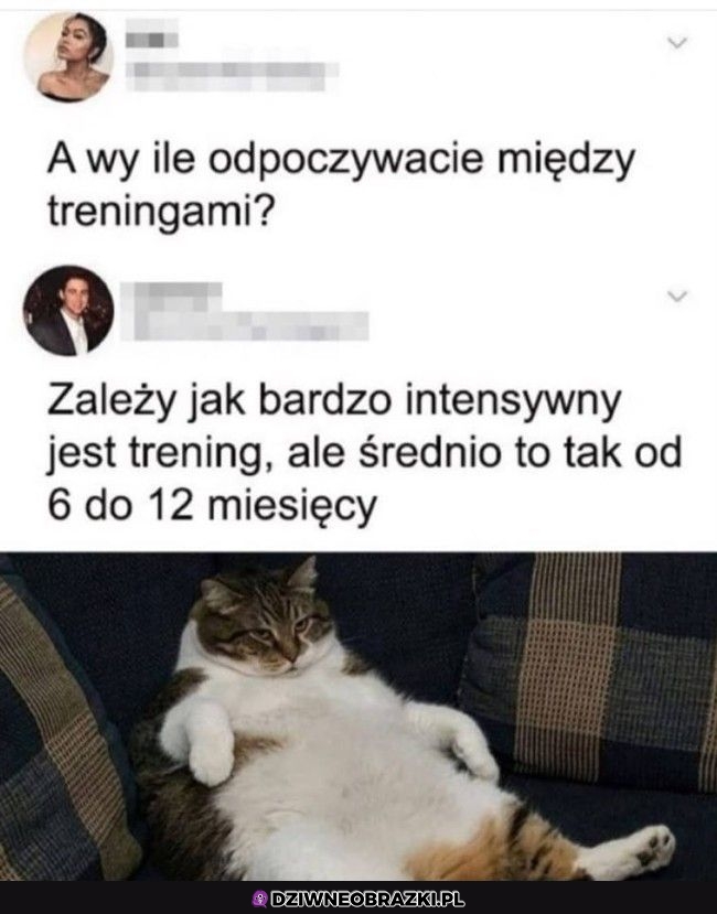 Odpoczynek między treningami