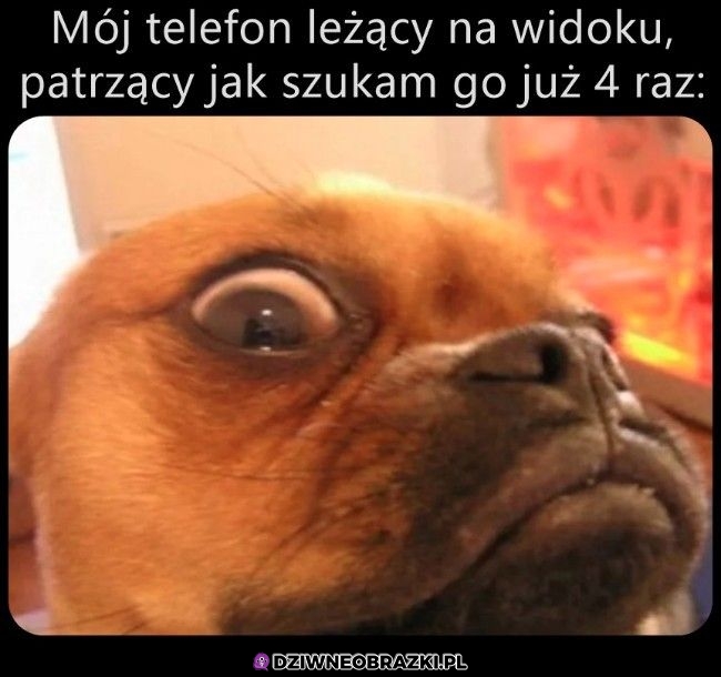 Tak wygląda