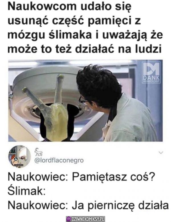 Prawdziwy przełom