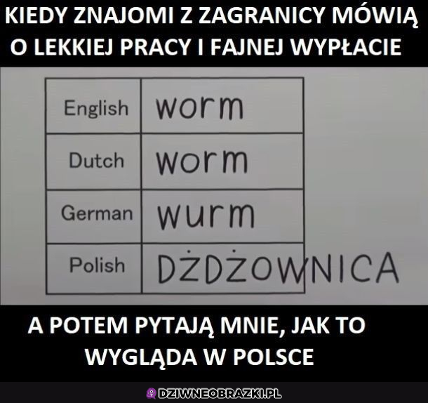 Polski trudny język