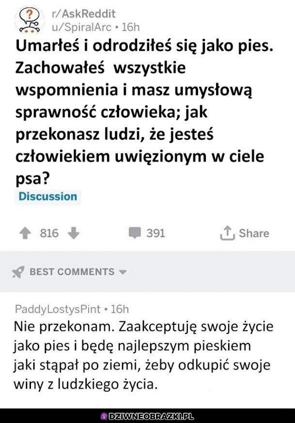 Co zrobisz?