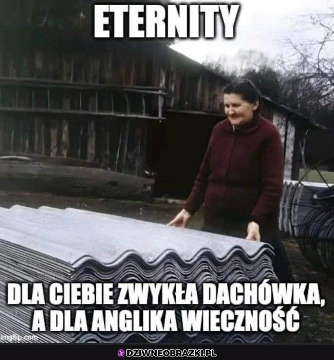 Dla każdego coś innego 