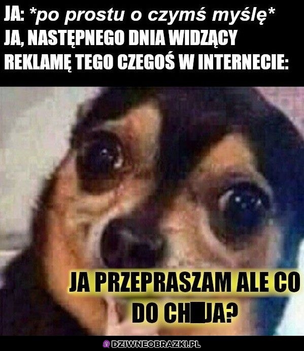 Co tu się wyrabia