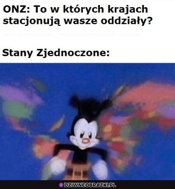 To gdzie te wasze oddziały
