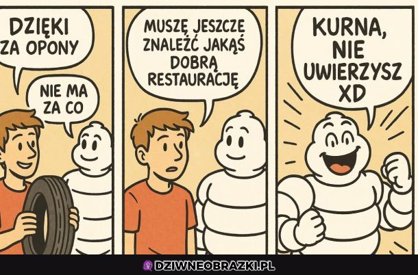 Ludzik Michelin