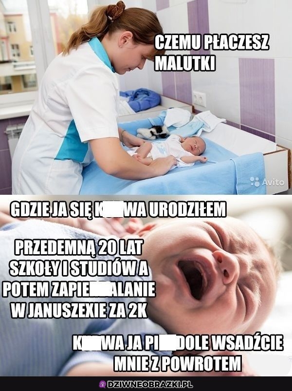 Rozumiem go