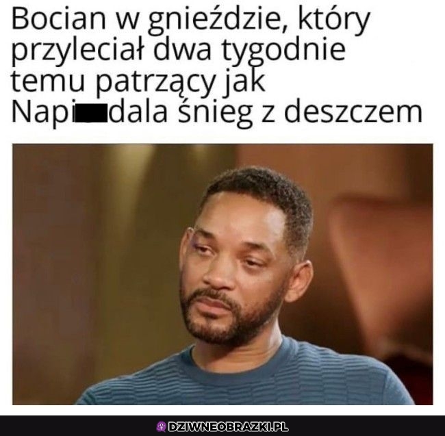 Co tu się