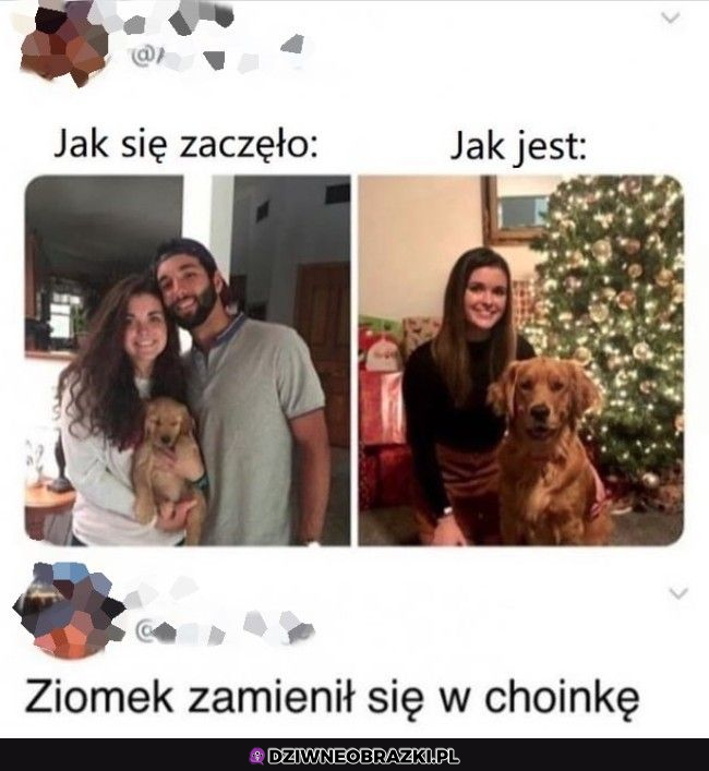 Ciekawa umiejętność