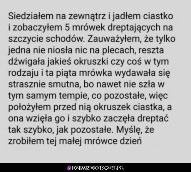 Tak trzeba żyć