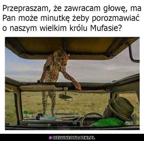 Czy ma pan chwilę?