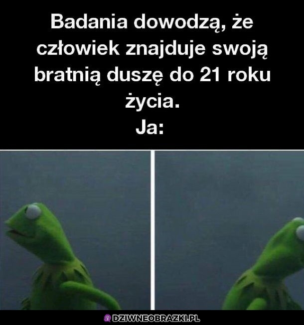 Ciekawe gdzie