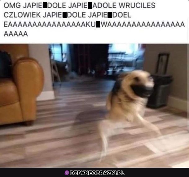 Kiedy wracasz
