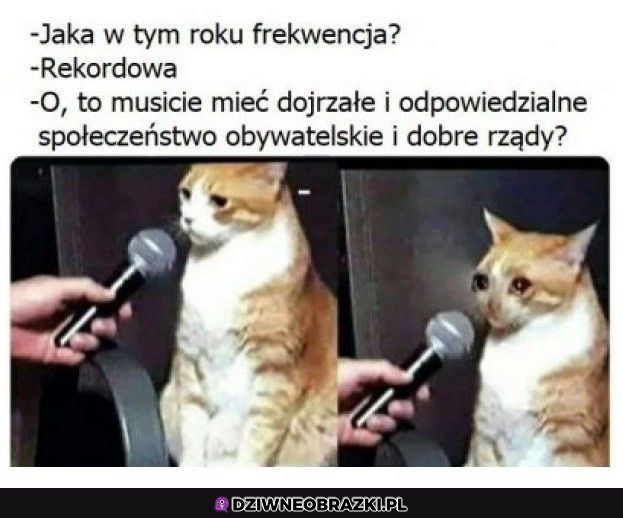 Jakie te rządy?
