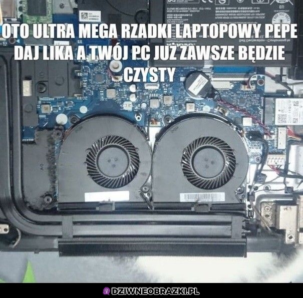 Laptopowy Pepe