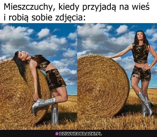 Mieszczuchy na wsi