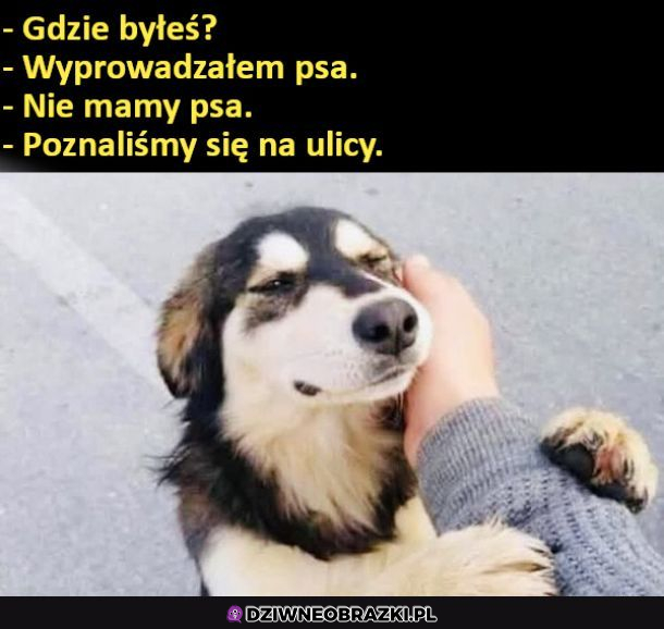 Gdzie byłeś?