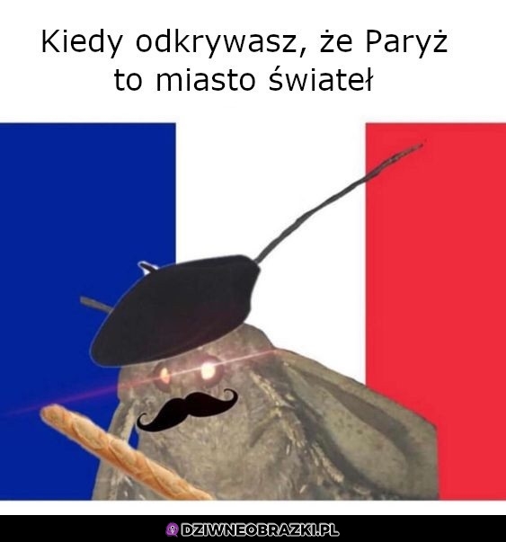 Paryż