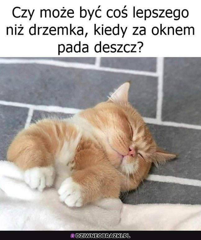 Prawdziwe szczęście <3