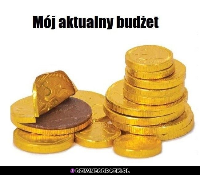 Mój aktualny budżet