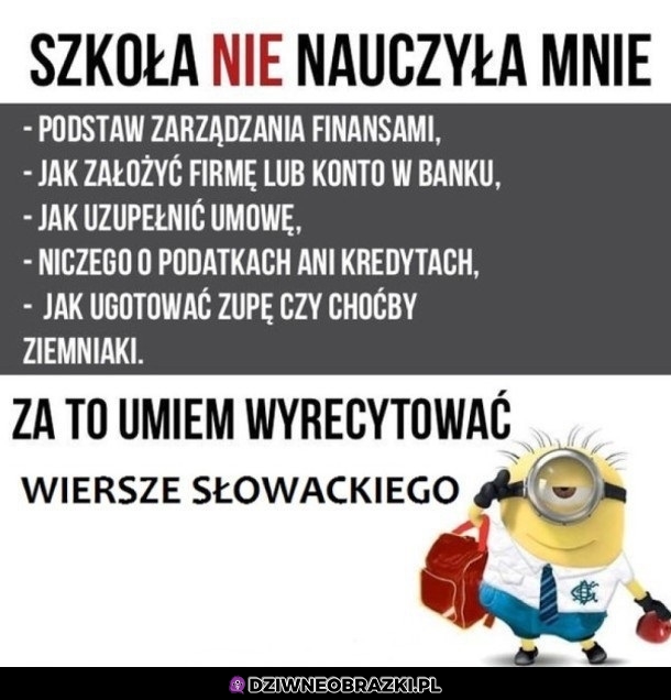 Dzięki szkoło