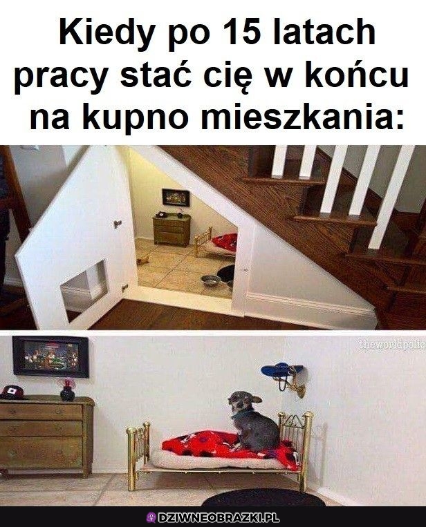Całkiem ładne