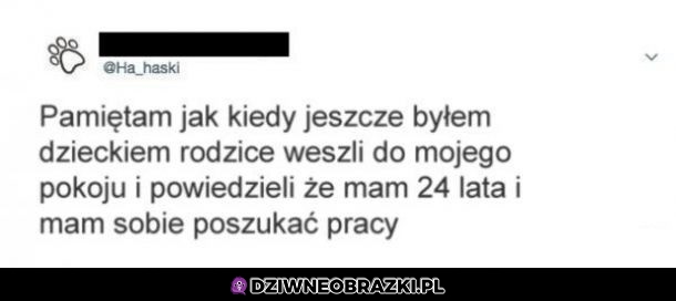 Pamiętam to!
