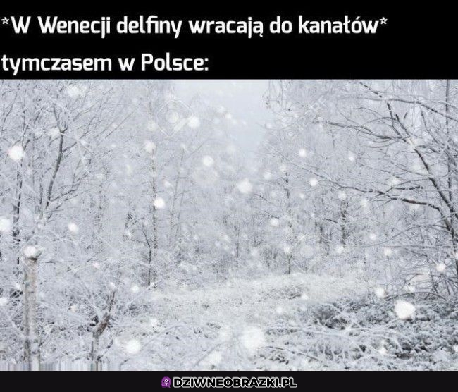 Może za rok
