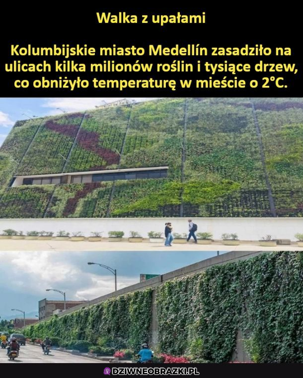 Mądrze