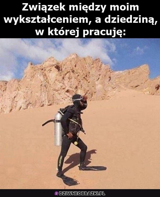 Mniej więcej taki to ma