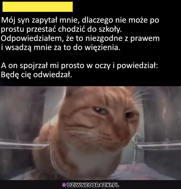 Kochany synek