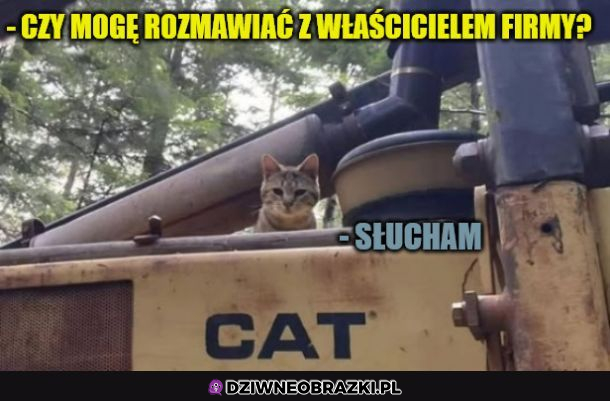 Kiedy chcesz gadać z właścicielem