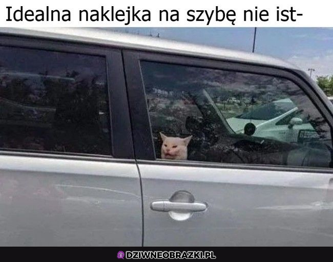 Gdzie to można kupić ?! 