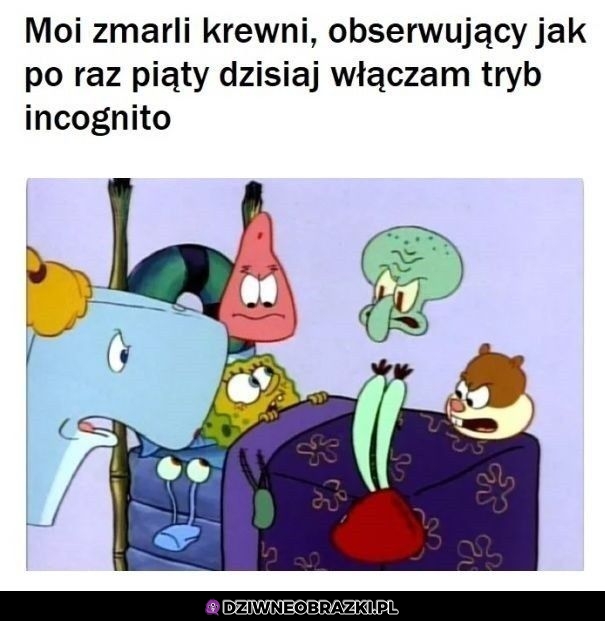 Obserwują