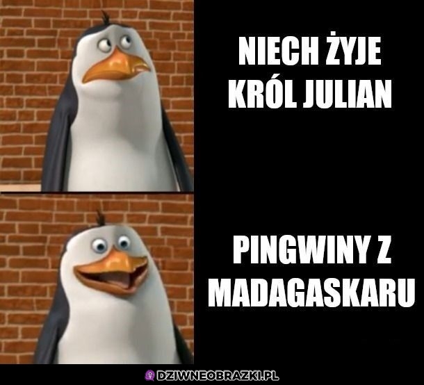 Wiadomo co lepsze