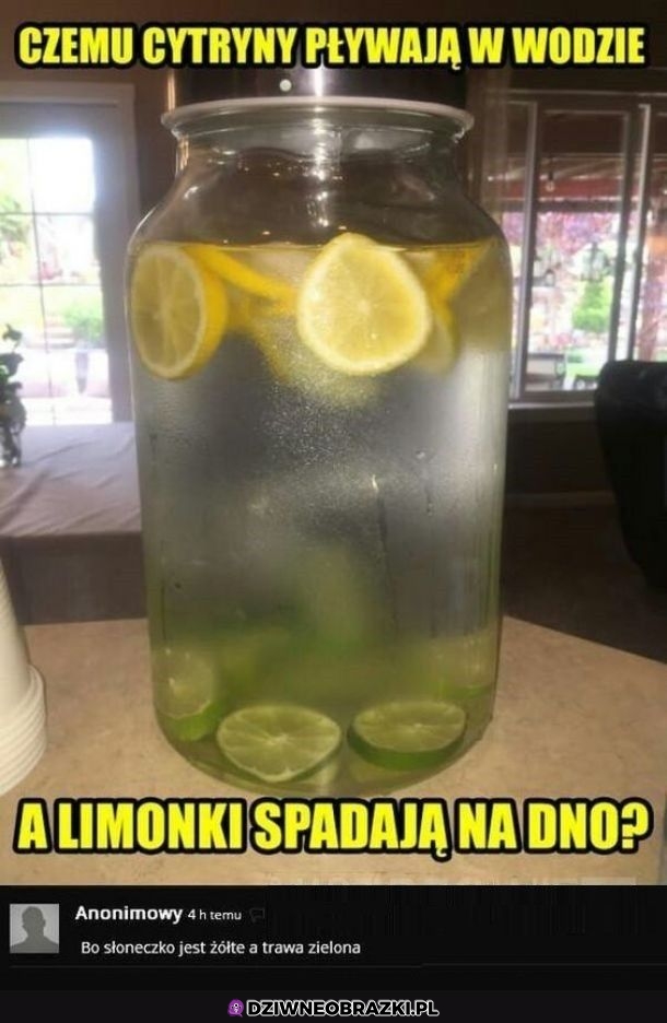 Logiczne