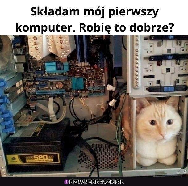 Całkiem całkiem