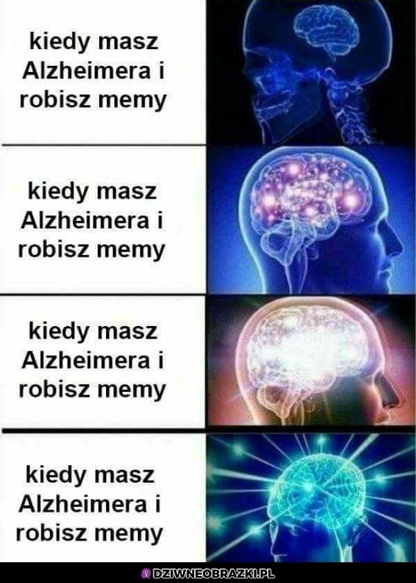 Alzheimer i memy