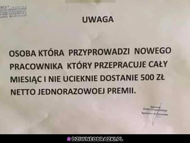 Chyba ciężko się tam robi