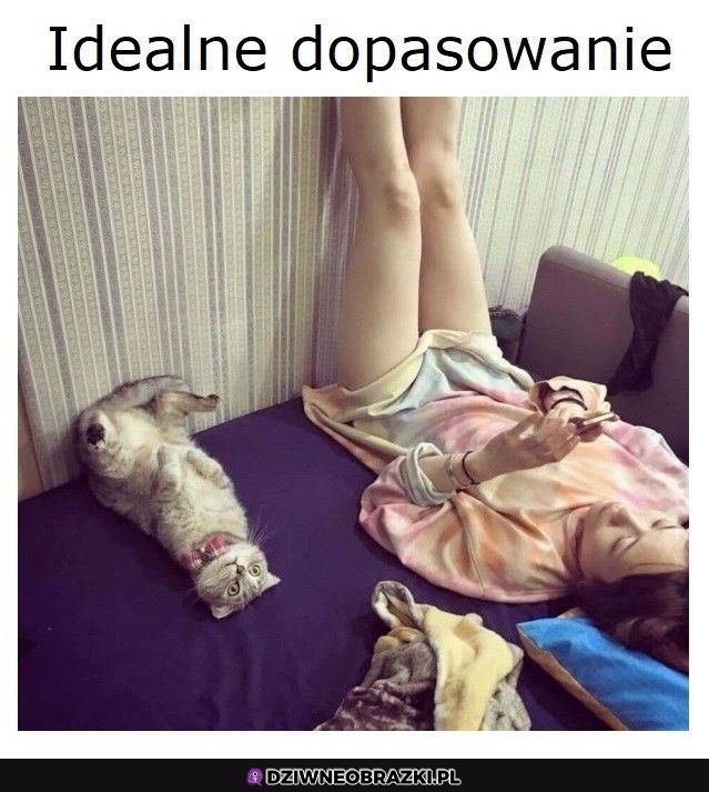 Dopasowane